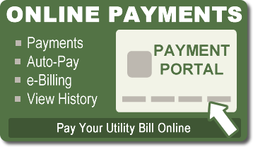 Online Payments