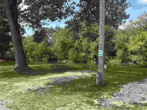 River View Campground