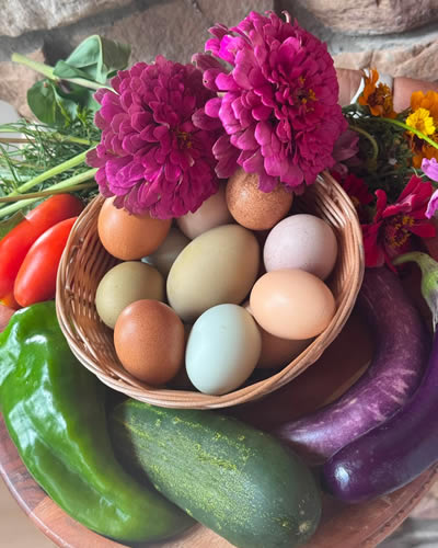 Farmers Market