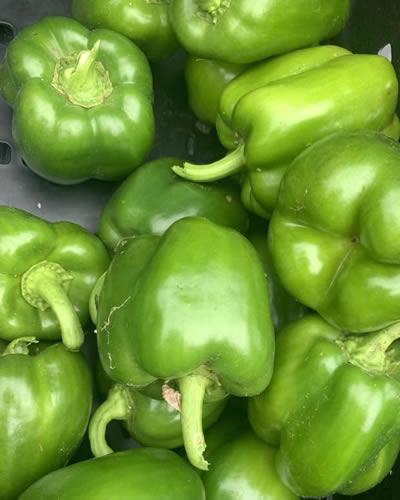 Farmers Market