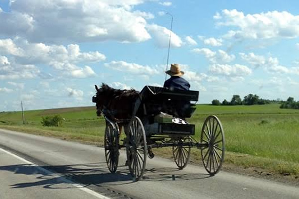 Amish near Lanesboro MN