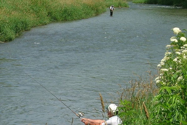 Fishing the Root River