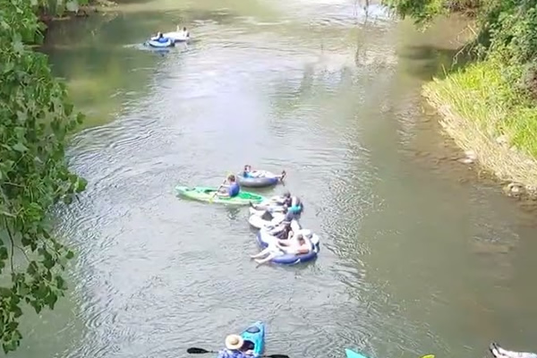 Root River